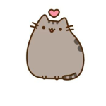 Chat Pusheen