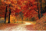 The Season Of Autumn!