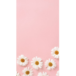 XxSunflower_NationxX