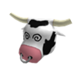 Cow's Studio's