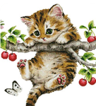 Kitty_cool