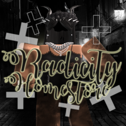 Radicity Homestore