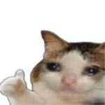 " xshcks "