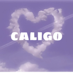 caligo -