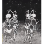 Lavender-stars