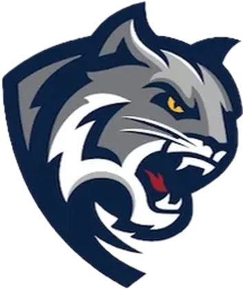 Miami Central Football Progam Roblox group icon