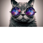 ayy yo q se