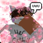 "cat boyz !"