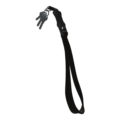 Lanyard (3.0)