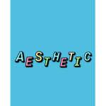 •Aesthetic Accessories•