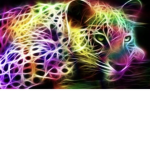 Drippy :D