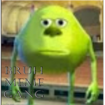 The Official Bruh Meme GANG
