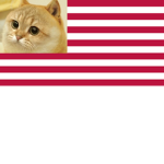 [UCA] United Cates of America