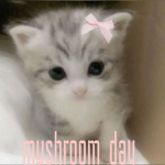 Mushroom_ Day