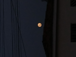 My MoonCL