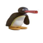 skidz united