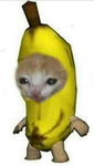 CatBananaStudio
