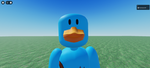 Duck05 and Friends' Official Group!!!!!!!!!