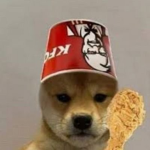 Bunnys to masters