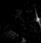 kostalgia