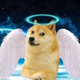 doge heaven
