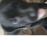 Kai's fart nuggets
