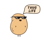 Mr pomme de terre