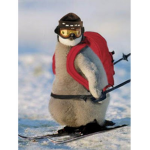 DePenguinBro_YT