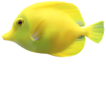 Fishy's Ripper group