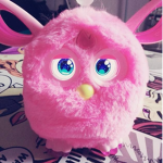 The Furby fan club