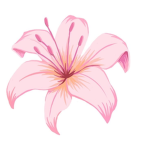 بنين#احبكم#لوفيو#اعطي روبلكس على الحض#