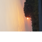 I NEED TO HAVE ROBUX