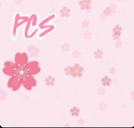 Paradise clothing stor3