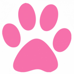 Mr.paw