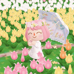 Aesthetic House!