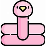 THe Flamingo ###### group