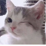 M0N3YBANK3