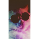 THE WIERD CATZZ
