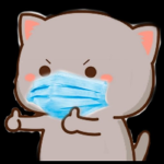 Fans de Anielicats