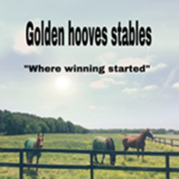 ⁕§⁕ Golden hooves stables/academy ⁕§⁕
