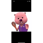 루피 팀