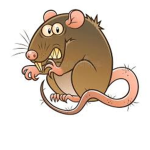 Crusty Sponge Rats