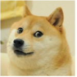 Doge Stuidos.