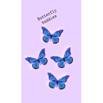 Butterfly buddy’s