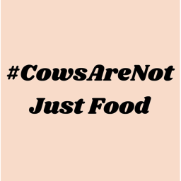 Find the cows!