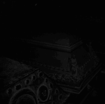 dusk of dawn | 피는 꽃