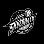Voleibol club