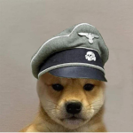 the epic doge country