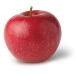 APPLE TREEEE