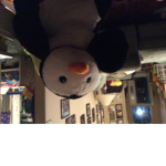 Penguin game club